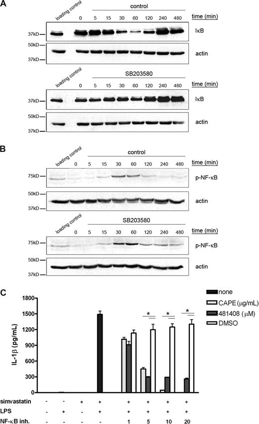 Figure 4. LPS-enhanced transcription of IL-1β is mediated via NF-κB. THP-1 cells were serum-starved overnight and subsequently cultured in the presence of LPS (200 ng/mL) for up to 8 hours. p38 MAPK inhibitor was added 1 hour before LPS treatment. Cells were lysed by adding hot sample buffer (A) or by adding lysis buffer (B). Cell lysates were assayed for phospho-IκB (A) and phospho-NF-κB (B) content. Actin content served as control for equal protein loading. A loading control was prepared to compare between the separate blots. Shown are representative blots of at least 3 independent experiments. (C) THP-1 cells were cultured for 24 hours in the presence or absence of simvastatin (10 μM) and stimulated for an additional 4 hours with 200 ng/mL LPS. The NF-κB inhibitors were added 1 hour before LPS treatment. Release of IL-1β was determined by ELISA; data are mean plus or minus SEM (n = 3, *P < .05).