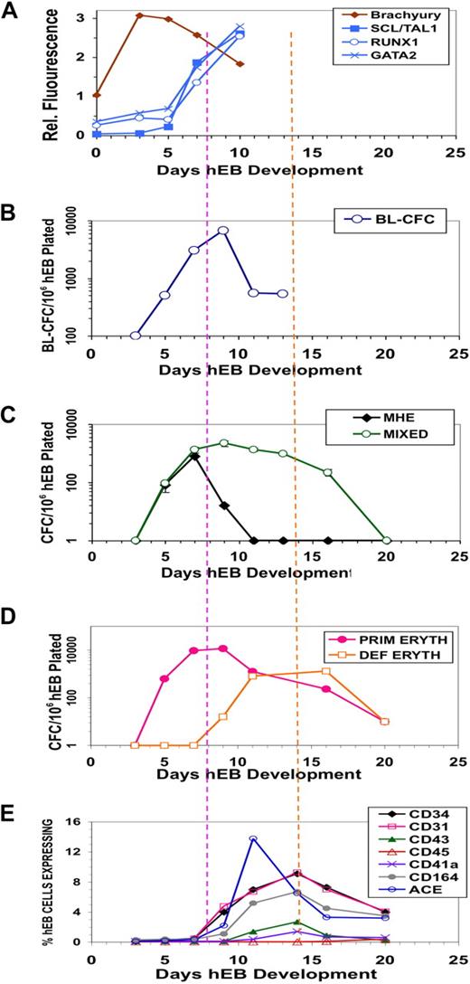 Figure 2. Differentiation kinetics and surface phenotypes of clonogenic progenitors of hEB-derived primitive and definitive hematopoieses. Line H1 hEB were differentiated in SF medium and BVF2H for 3-20 days, as described under “Methods.” hEB cells at different time points were evaluated for global gene expressions (A) by DNA microarray (Agilent) analysis (see Table S2 for full list), surface marker expression (E), or recultured at indicated time points in CFC assays (B-D). Replicate CFC assay results represent the average, normalized (per 106 single, viable hEB cells plated), for independent experiments done at least 3 times, with all standard deviations less than 5%-10%). (A) Mesoderm marker Brachyury and hemangioblast-associated (SCL/TAL1, RUNX1, GATA2) genes during days 0-10 of hEB differentiation are selectively shown. (B) The kinetics of formation of BL-CFC, (C) MHE clusters, mixed primitive + definitive erythro-myelopoietic colonies (MIXED) colonies, (D) primitive erythropoietic (PRIM ERYTH), and definitive erythropoietic (DEF ERYTH) CFU are shown during days 3-20 of hEB differentiation. Purple vertical dashed line emphasizes that the initiation and pattern of blast colony formation (starting at day 5 of hEB differentiation) which correlates simultaneously with the onset of ACE/BB9 and CD34 hEB expression and also the emergence of primitive multipotent (MIXED), also primitive erythroid (PRIM ERYTH) CFU (E). In contrast, CD34, CD164, CD31, CD43, and CD41a hEB cell peak cell surface expressions patterns correlated more with the emergence of definitive-type CFU from hEB at later time points (orange dashed line).