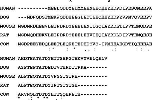 Figure 1. Alignment of the human, dog, mouse, rat, and cow NH2-terminus of band 3. Alignment of the first 65 amino acids of human, dog, mouse, rat, and cow AE1 using the CLUSTALW program (http://align.genome.jp//). Asterisks (*) indicate complete sequence conservation; double and single dots, less conservation; (^) symbols, the 2 tyrosine phosphorylation sites at the NH2-terminus of human band 3.