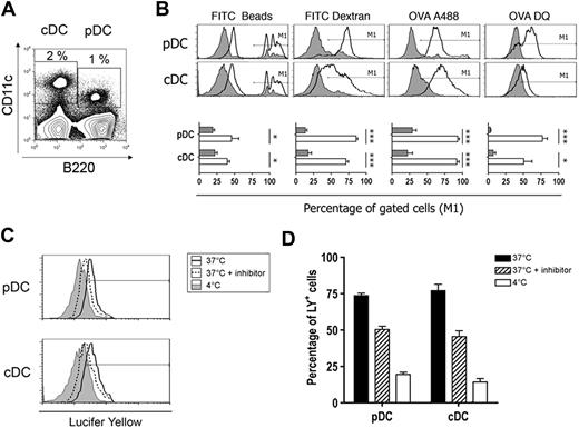 Figure 1. Splenic pDCs capture and degrade Ags efficiently. (A) Spleen cells were incubated for 1 hour in the presence of labeled Ags at 37°C in culture medium (CM) or at 4°C in CM containing 0.1% azide. Cells were stained with anti-CD11c and anti-B220 mAbs and analyzed by flow cytometry. DC subsets were gated as indicated. (B) Top panel: fluorescent intensity of labeled Ags was analyzed for each gated DC subset incubated at 37°C (thick line histogram) or at 4°C in CM containing 0.1% azide (filled histogram). Bottom panel: the percentage of cells gated in M1 that have captured Ag is plotted for each subset. Results represent cumulative data from 4 independent experiments and are expressed as mean percentages plus or minus SD. *P < .05, ***P < .001. (C) Spleen cells were incubated with Lucifer Yellow (0.4 mg/mL) in the presence (dotted line histogram) or absence (thick line histogram) of inhibitor (dimethyl amiloride, 100 μM) at 37°C or at 4°C (filled histogram), and fluorescent intensity was analyzed for both DC subsets. Lucifer Yellow+ cells were gated as shown. (D) Percentage of Lucifer Yellow+ cells in each condition is plotted. Results represent cumulative data from 4 independent experiments and are expressed as mean percentages plus or minus SD.