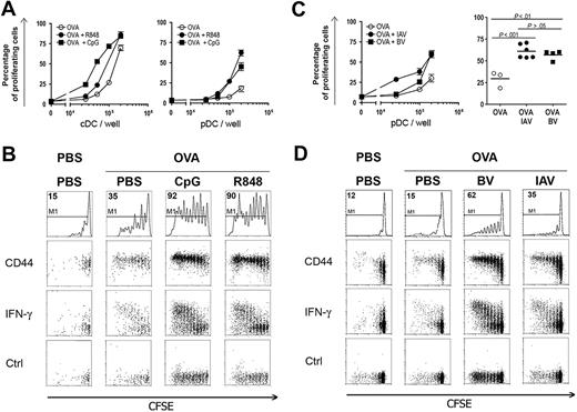 Figure 6. pDCs cross-prime OT-I T cells in vivo. 129sv mice were injected intravenously with OVA (9 mg) and either PBS, 10 μg of R848, 100 μg CpG in DOTAP, 103 hemagglutinin units of heat-inactivated Influenza A virus (IAV), or 106 pfu of BV. A control group received only PBS. Two hours later, splenic DC subsets were purified by magnetic sorting and their capacity to cross-prime OT-I T cells in vitro (A,C) and in vivo (B,D) was assessed. (A,C) Various numbers of purified cDCs (A, left panel) and pDCs (A, right panel; C) were cultured with 2.5 × 104 CFSE-labeled OT-I T cells. OT-I T-cell proliferation was analyzed by flow cytometry 72 hours later. Proliferating T cells were assessed by CFSE dye dilution by OT-I T cells as described in Figure 5. Percentages of proliferating T cells are plotted against the number of DCs per well. (A) cDCs (left panel) and pDCs (right panel) were purified from mice injected with either OVA alone (○) or with R848 (●) or with CpG (■). (C) pDCs were purified from mice injected with either OVA alone (○) or with BV (●) or with IAV (■). Left panel: 1 representative experiment of 3 is depicted. Right panel: statistical analysis of OT-I T-cell proliferation, when cocultured with 2 × 105 purified pDCs, from 3 independent experiments, including 1 or 2 mice per group in each experiment. (B,D) Purified pDCs were injected into CD45.1 hosts that had received 2 × 106 CFSE-labeled OT-I T (CD45.2) cells 24 hours before. Seven days later, splenocytes from these mice were incubated 4 hours in the presence of brefeldin A with or without OVA257-264 peptide. Cells were stained using anti-CD45.1, CD45.2, CD3ϵ, and CD8α mAbs, and OT-I T cells were characterized as CD45.1−, CD45.2+, CD8α+, and CD3ϵ+ cell populations. (B) OT-I T-cell analysis from mice that received pDCs purified from mice injected with PBS or with OVA and PBS, CpG, or R848 as indicated. CD44 expression and intracellular expression of IFN-γ by OT-I T cells were assessed as described in “Adoptive transfer.” First row: CFSE profiles of OT-I T cells (percentages of OT-I T cells showing CFSE dye dilution and gated in M1 are indicated); second row: CD44 expression on OT-I T cells according to CFSE profile; third row: IFN-γ intracellular staining on OT-I T cells according to CFSE profile; last row: intracellular staining with control isotype. (D) CFSE profiles of OT-I T cells from mice that received pDCs purified from mice injected with PBS or with OVA and PBS, BV, or IAV. First row: percentages of OT-I T cells showing CFSE dye dilution and gated in M1. Second row: CD44 expression by OT-I cells according to CFSE profiles. Third row: IFN-γ intracellular staining on OT-I cells according to CFSE profile; last row: intracellular staining with control isotype. One representative experiment of 4 is depicted.