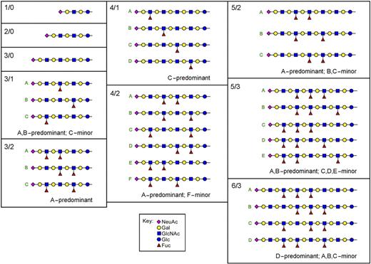Figure 2. Structures of LacNAc and poly-LacNAc glycosphingolipid glycans from human leukocytes. The glycans of monosialo GSLs from human neutrophils were enzymatically released using ceramide glycanase, permethylated, and then subjected to total ion mapping MS and MSn. The structures of the most abundant 99% of species in the sample are shown in symbol format.44 Structure abbreviations (n/m) are defined in Figure 1 legend.