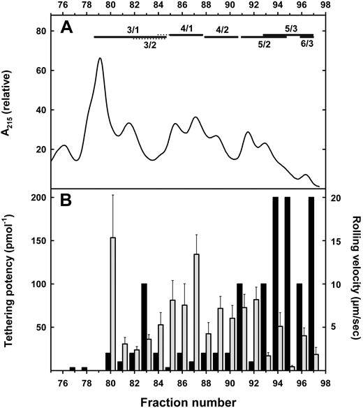 Figure 4. E-selectin–mediated cell tethering and rolling by resolved human leukocyte gangliosides. (A) Ganglioside resolution. Purified monosialoglycosphingolipids from human granulocytes were resolved on a LiChrosorb NH2 HPLC column using an acetonitrile/aqueous ammonium bicarbonate gradient as eluent. Only the trailing fractions of the HPLC run are shown (compare with Figure 3; prior fractions did not support E-selectin tethering). Fucosylated species detected by MALDI-TOF MS of the resolved fractions are designated above the chromatogram (dotted lines indicate minor species), with structure abbreviations (n/m) as defined in Figure 1 legend. (B) Tethering (■): Aliquots of each fraction containing from 5 fmol to 20 pmol were adsorbed as a lipid monolayer on Petri dishes in a discrete 5-mm diameter circular area. CHO cells stably expressing E-selectin were perfused over the adsorbed lipid at 1 dyne/cm2 for a 5-minute period, during which tethered cells were quantified. The minimal ganglioside concentration resulting in at least 100 tethers/mm2 was determined. Potency is expressed as the inverse of the minimal effective concentration. Rolling (): Aliquots containing 100 to 300 fmol GSL were adsorbed and rolling velocities (μm/s) of CHO cells stably expressing E-selectin were determined as the displacement of the centroid of the cell over a 5-second interval. The means plus or minus SEM of 6 to 34 cells are shown.
