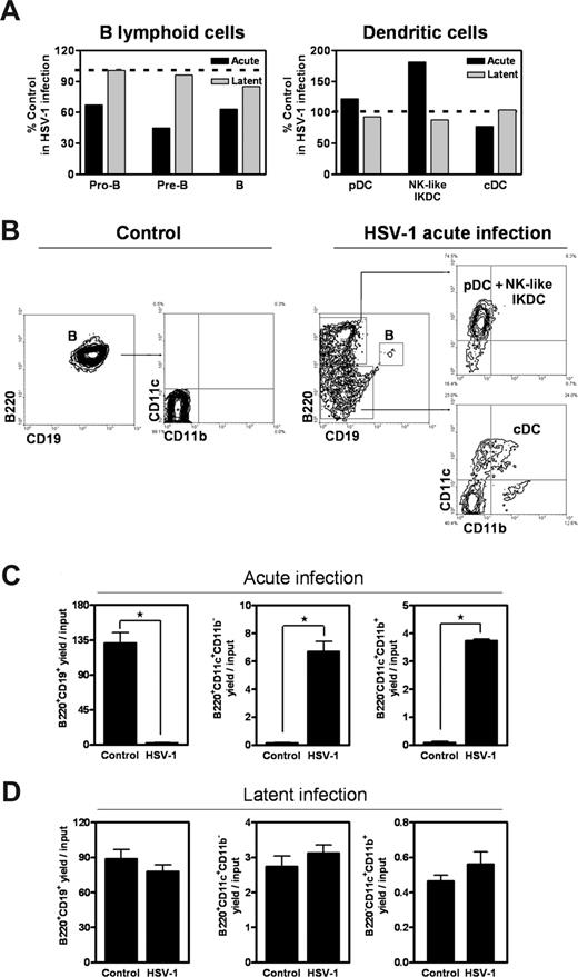 Figure 1. Production of DCs from lymphoid progenitors in HSV-1–infected mice. (A) Total numbers of pro-B/large pre-B, small pre-B, B, pDCs, IKDCs, and cDCs were enumerated from femurs of mice after 7 days of acute infection or 30 days of latent HSV-1 infection. Percentage control values represent BM cellularity in each condition relative to BM cellularity in uninfected controls. The results are representative of 3 independent experiments. CLPs were double sorted from HSV-1–infected and control mice and placed in lymphoid cultures for 8 days. (B) The indicated flow cytometry gates were used to discriminate B220+CD19−CD11c+CD11b− pDC/NK-like IKDCs and B220−CD19−CD11c+CD11b+ cDCs. (C,D) Total numbers of recovered cells of each type after acute and latent infection were calculated and expressed as yields per input of common lymphoid progenitor (*significant difference, P < .05 by t test). Data are representative of 3 independent experiments. Error bars represent SEM.
