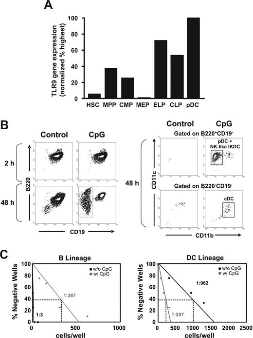 Figure 7. Lymphoid biased progenitors in BM express high levels of TLR9 and respond to CpG in culture. BM fractions were isolated as described in “Isolation of cell populations and flow cytometry” before analysis by quantitative RT-PCR. (A) The results are representative of 2 independent experiments and are normalized to β-actin and compared with pDC, the subset with highest expression. Normal Lin−IL-7Rα+c-kitloSca1+ CLPs were sorted and treated in serum-free, stromal-free cultures for 2 or 48 hours with 0.6 μg/mL CpG. The cultures were washed and then incubated for an additional 8 days with stem cell factor, FL, and IL-7 before flow cytometric analyses. Whereas almost pure populations of B220+CD19+ lymphocytes were present in control cultures, CD19− cells emerged as a result of extended CpG treatment (B, left panel). B220+/− CD19− cells were gated (B, right panel) and further analyzed to reveal B220+CD19−CD11c+CD11b− pDCs and/or NK-like IKDCs, and B220− CD19−CD11c+CD11b+ cDCs. Sorted CLPs were placed in limiting dilution stromal-cell free, serum-free cultures with and without 0.6 μg/mL of CpG for 48 hours. They were washed and then returned to culture for an additional 8 days before flow cytometry analysis. (C) Individual wells were scored as being positive for CD19+ B lineage and/or CD11c+ DCs.
