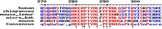 Figure 1. Conservation of amino acids in a small region of TIN2 between different species. Close-up of the residues mutated in the patients with DC. Arrows indicate the sites of mutations. Changes are K280X (n = 2), R282C (n = 7), R282H (n = 14), P283A, P283H, P283S, T284A, T284Hfs8X, L287P, P289S, F290LfsX2, R291G, and Q298RfsX19. Red indicates highly conserved; blue, limited conservation; black, no conservation. Alignment obtained using MultAlin.20