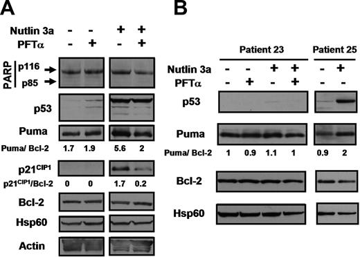 Figure 3. Effect of PFTα on nutlin-induced transcription of p21CIP1 and Puma. Cells from patient 19 (A) or from patient 23 (B) were incubated in media containing 100 μM ZVAD. Nutlin 3a (10 μM) and 25 μM PFTα were added as indicated. Whole cell lysates were prepared (“Methods”) and analyzed by Western blotting. Lysates from patient 25 were analyzed on the same blot with patient 23 lysates to provide a positive control for the p53 antibody. Expression levels of the p53 targets p21CIP1 and PUMA were quantified by densitometry. The band intensities were normalized with respect to Bcl-2 band intensities, since expression of Bcl-2 has been shown to be extremely stable in CLL cells.38
