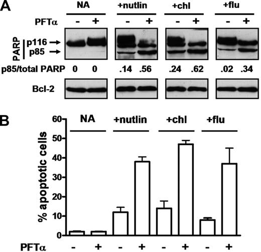 Figure 5. Effect of PFTα on apoptosis induction by p53-elevating agents. Cells from patient 19 were incubated in the absence of ZVAD with 10 μM nutlin 3a, 50 μM chlorambucil or 10 μM fludarabine. PFTα (25 μM) was added as indicated. Apoptosis was assessed by Western blot analysis of PARP cleavage (A) or by morphology (B). The densitometric intensity of the caspase 3–cleaved p85 PARP band is expressed as a ratio relative to the total intensity of the p85 and p116 (intact) bands. Note that the ability of PFTα to block p53-mediated transcription in cells from patient 19 is documented in Figure 3.