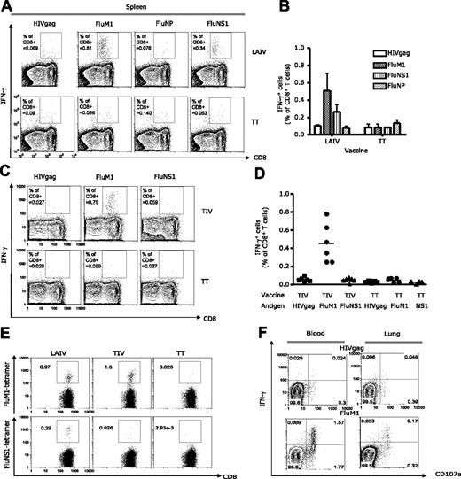 Figure 4. The breadth and effector phenotype of elicited influenza-specific CD8+ T cells. Vaccination as indicated in figure panels. Single-cell suspensions from tissues harvested at day 14 after vaccination were stimulated for 8 hours with indicated peptides and antibodies against CD28 and CD49d. The frequency of IFN-γ–secreting CD8+ T cells by flow cytometry. (A-D) Spleen analysis. (A) Representative experiment. (B) IFN-γ–secreting CD8+ T cells (mean ± SEM, n = 3) after stimulation with indicated peptides. (C) Analysis after vaccination with TIV or TT. (D) The frequency of IFN-γ–secreting CD8+ T cells (mean, n = 4) specific to indicated peptides. (E) Blood: specific CD8+ T cells binding FluM1 and NS1 tetramer in humanized mice vaccinated with LAIV or TIV. (F) Blood and lungs of TIV or TT-vaccinated mice. IFN-γ and CD107a expression by CD8+ T cells in response to HIVgag or FluM1 peptides.