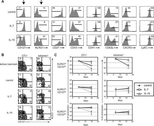 Figure 2. Administration of IL-7 or IL-15 during contraction rescues different CD8+ T-cell subsets. (A) Splenocytes were harvested on day 17 of the experiment outlined in Figure 1A, and expression of the indicated cell surface markers on donor cells was analyzed by flow cytometry. (B) CD127 and KLRG1 coexpression on antigen-specific donor and endogenous CD8+ T cells at days 17 and 15, respectively, as described in Figure 1A and D. (C) Absolute numbers of donor OT-I (left) or tetramer+ (right) CD8+ T-cell subsets as gated in panel B. All data are representative of 2 independent experiments.