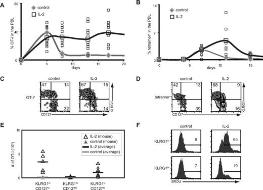 Figure 5. IL-2 complexes preferentially induce the accumulation of KLRG1hiCD127loCD8+ T cells. (A) B6 mice were treated with or without IL-2 complexes as outlined in Figure 1A. The percentage of donor OT-I cells present among PBLs is shown. (B) B6 mice were treated with or without IL-2 complexes as outlined in Figure 1D. The percentage of tetramer+ CD8+ T cells present among PBLs is shown. (C) CD127 and KLRG1 coexpression on donor OT-I T cells in the spleen on day 17 after infection as described in panel A. (D) CD127 and KLRG1 coexpression on tetramer+ CD8+ T cells in the spleen on day 15 after infection as described in panel B. (E) Absolute numbers of donor OT-I CD8+ T-cell subsets on day 17 after infection as described in panel A. (F) BrdU incorporation on donor OT-I T cells from mice with or without treatment with IL-2 complexes as outlined in Figure 4A.