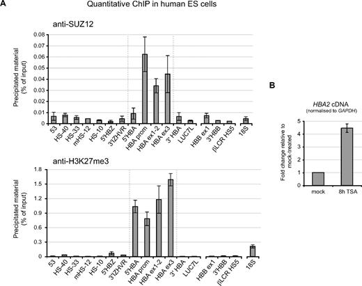 Figure 6. PcG-regulation at the HBA genes in human ES cells. (A) ChIP experiments carried out in human ES cells using antibodies against SUZ12 (top panel) or H3K27me3 (bottom panel). Immunoprecipitated material was analyzed at amplicons surrounding the α-globin locus (Figure 1) or at the β-globin gene promoter, 3′ of the β-globin gene, within HS5 of the β-globin locus control region (probes HBB ex1, 3′HBB, and βLCR HS5) or a control amplicon within the 18S rRNA gene. Data indicate the percentage of input material precipitated at each amplicon. (B) Real-time RT-PCR analysis of HBA2 cDNA in human ES cells which were either mock-treated, or treated with 0.2 μmol/L TSA for 8 hours. Results are shown as fold change relative to mock-treated cells after normalizing for GAPDH signal. Data in panels A and B show the mean values obtained from replicate experiments with error bars indicating the range of values.