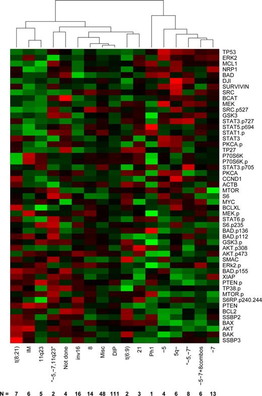 Figure 3. Clustering by cytogenetics average protein expression intensity of patients within cytogenetic risk groups based on unsupervised hierarchical clustering. Expression is scaled so that green represents low expression and red represents high expression.