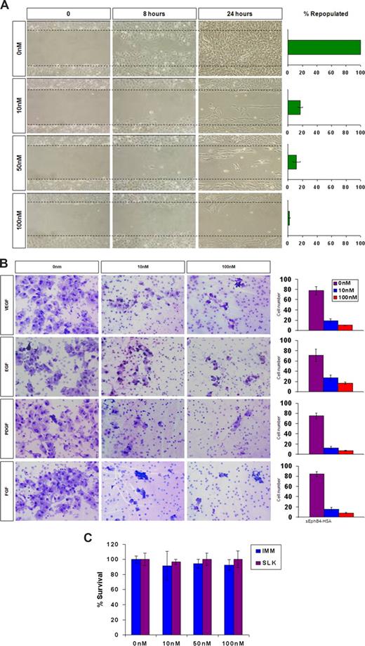 Figure 3. sEphB4-HSA activity in KS migration, invasion, and survival. (A) KS-SLK cells were grown to confluence, scraped, and treated with varied concentrations of sEphB4-HSA. Cell migration in the clear zone was documented by photographs at various time points at 20× fields. (B) KS cell invasion in response to growth factors. Modified Boyden chamber assay was used to determine KS cell invasion across Matrigel-precoated inserts. Data are presented as number of invading cells plus or minus SE from duplicate wells in 2 experiments. (C) Cell viability assay. KS cells were grown in triplicate in the presence of increasing concentrations of sEphB4-HSA for 72 hours. Cell viability was assessed by MTT assay. The experiment was repeated twice with similar results. Photomicrographs in panels A and B were taken with a Nikon Coolpix 5000 camera (Nikon, Tokyo, Japan) and a Carl Zeiss Invertoskop microscope (Zeiss, Goettingen, Germany) with a 4×/0.12 NA objective and 10× eyepiece.
