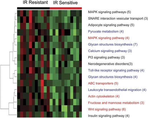 Figure 4. Prosurvival pathway modules are differentially up-regulated in resistant ALL 8 hours after IR. At 8 hours after 5 Gy IR, 11 representative samples of apoptosis-resistant ALL show differential coordinate up-regulation of genes involved in prosurvival pathways compared with the apoptosis-sensitive tumors. Each column represents a different patient sample, and each row represents a pathway consisting of a number of genes given in parentheses. Color changes within a row indicate expression levels relative to the average of the same population. Red indicates up-regulation; green, down-regulation.