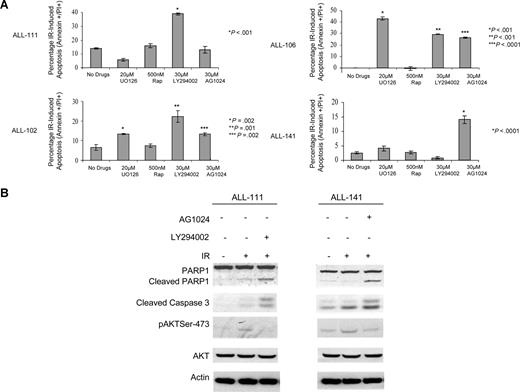Figure 7. Primary ALL tumors resistant to IR can be sensitized by targeted inhibition of prosurvival pathways. (A) Induction of IR-induced apoptosis measured by annexin V+/PI+ staining 24 hours after treatment with 20 μM UO126, 500 nM rapamycin, 30 μM LY294002, and 30 μM AG1024 in 4 apoptosis-resistant ALLs not previously included in the microarray experiments. The means and standard deviations from 3 experiments are shown as well as P values for each inhibitor relative to no treatment. The figure shows that the 4 patients with apoptosis-resistant ALL have individual patterns of response to inhibition of different prosurvival signals prior to IR. ALL 111 became IR sensitive after addition of PI-3 kinase inhibitor LY294002 only. ALL 141 showed an increase in IR-induced apoptosis after preincubation with IGFR inhibitor AG1024 only. ALL 102 and 106 are both IR sensitive following exposure to all inhibitors except rapamycin. (B) Western blotting showing post-IR–induced apoptosis after 8 hours of incubation with PI-3 inhibitor LY294002 in ALL 111 or IGFR inhibitor AG1024 in ALL 141 as measured by cleavage of PARP1 and appearance of the cleaved caspase-3. Both leukemias exhibit reduction in IR-induced phosphorylation of Akt in the presence of the respective inhibitors.