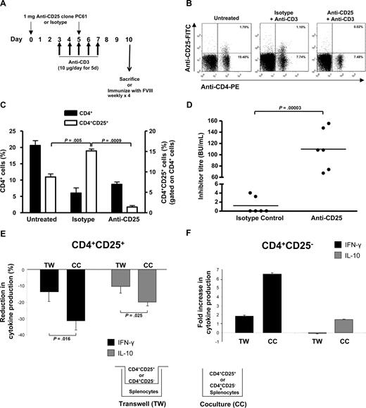 Figure 4. CD4+CD25+ cells are required in vivo and in vitro for anti-CD3–derived tolerance and mediate suppression through a contact-dependent mechanism. (A) Experimental outline for the in vivo depletion of CD4+CD25+ cells. Anti-CD25 was administered intraperitoneally on days 0 and 5, whereas anti-CD3 was given intravenously on days 3 to 7. On day 10, mice were killed or were immunized with FVIII weekly for 4 weeks. (B) Raw data demonstrating that the spleen was completely depleted of CD4+CD25+ cells after injection of anti-CD25 (clone PC61, n = 3) or isotype control (IgG1, n = 3) during anti-CD3 treatment (10 μg/day for 5 days). Splenocytes from untreated aged-matched mice are shown for reference (n = 3). (C) Quantification of the effect of anti-CD3/anti-CD25 on CD4+ and CD4+CD25+ populations as shown in panel B. Anti-CD3, as shown in previous experiments, can deplete CD4+ cells, and this is clearly evident in the isotype control and anti-CD25 group compared with untreated mice. An increase in CD4+CD25+ cell levels is also evident in the anti-CD3–treated isotype control mice. However, despite anti-CD3 treatment, which increases CD4+CD25+ cell levels, anti-CD25 almost completely depleted this population. (D) Evaluation of FVIII inhibitor formation after depletion of CD4+CD25+ cells. During anti-CD3 treatment (10 μg/day for 5 days), mice were treated with anti-CD25 (n = 6) or isotype control antibody (n = 6), which was followed with 4 FVIII immunizations as previously described. The subsequent immune response to FVIII was analyzed by the Bethesda assay 1 week after the final FVIII immunization. Tolerance to FVIII was completely abrogated in the anti-CD25 mice, but not in the isotype controls. (E) CD4+CD25+ or (F) CD4+CD25− cells isolated from tolerant anti-CD3–treated mice were cocultured, in the presence of FVIII, with total splenocytes from FVIII-immunized, HBSS control animals (no anti-CD3 therapy) in the same well (coculture, CC), or were separated by a transwell membrane (transwell, TW). Data are mean plus or minus SEM.