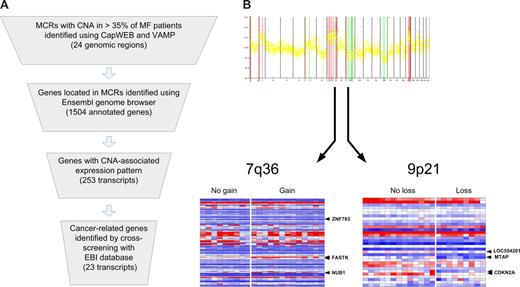 Figure 2. Integration of array-based CGH and gene-expression data. (A). Stepwise approach to identification of genes potentially relevant in the development or progression of MF residing in loci with frequent CNA. Transcripts corresponding to genes localized in MCRs (Figure 1B) were identified and extracted using the Ensembl genome browser and cross-referenced with microarray probes. Gene dose effects on expression levels were then statistically evaluated. Genes demonstrating significantly higher expression associated with gain or lower expression associated with loss are summarized in Table 3. (B) Visual illustration of the integration method applied for aCGH and gene-expression data. For 2 exemplary MCRs, with gain on 7q36 and loss on 9p21, heat maps of resident gene-expression patterns were generated. Genes with a CNA-associated expression pattern are indicated with ◀.