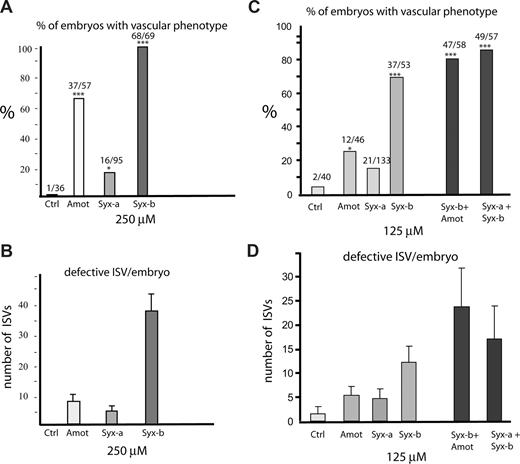 Figure 7. Genetic interactions between syx genes and between syx-b and amot. (A) Phenotypic penetrance of amot, syx-a, and syx-b morphants. (B) Phenotypic severity of amot, syx-a, and syx-b morphants measured in terms of ISV defects per embryo. (C) Phenotypic penetrance of syx-b; amot double morphants and syx-a; syx-b double morphants. Phenotypic severity of syx-b; amot double morphants and syx-a; syx-b double morphants measured in terms of ISV defects per embryo. (D) Phenotypic severity of amot, syx-a, and syx-b morphants as well as for amot syx-b and syx-a/syx-b double morphants. Error bars indicate the standard deviation. *P < .05; ***P < .001.