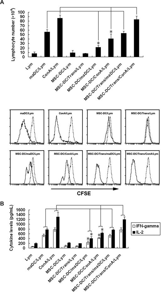 Figure 2. The low immunogenicity and immunoregulatory property of MSC-DCs. (A) The influence of MSC-DCs on lymphocyte proliferation. The top panel shows that lymphocytes (H-2Kb) were stained with CFSE and cocultured for 3 days with maDCs (H-2Kd), ConA (5 μg/mL), MSC-DCs (H-2Kd), MSC-DCs (H-2Kd) + Trans, MSC-DCs (H-2Kd) + maDCs (H-2Kd), MSC-DCs (H-2Kd) + ConA (5 μg/mL), MSC-DCs (H-2Kd) + Trans + maDCs (H-2Kd), and MSC-DCs (H-2Kd) + Trans + ConA (5 μg/mL) respectively, then assessed by FACS. Data represent mean (± SD) of triplicate samples. *P < .05. In the bottom panel, 1 FACS analysis of at least 3 independent experiments with similar results is shown. Dotted line, unstimulated lymphocytes. Trans indicates a transwell system used in the MSC-DCs/maDCs/lymphocytes or MSC-DCs/ConA/lymphocytes cocultural system to determine whether intercellular contact or soluble factors were involved in the inhibitory function of MSC-DCs. (B) The influence of MSC-DCs on IFN-γ and IL-2 secretion by lymphocytes. Lymphocytes (H-2Kb) were cocultured for 5 days with maDCs (H-2Kd) or ConA (5 μg/mL) in the absence or presence of MSC-DCs (H-2Kd) or MSC-DCs (H-2Kd) + Trans. IFN-γ and IL-2 in each well were assayed by ELISA. Data are mean (± SD) of triplicate wells. *P < .05.