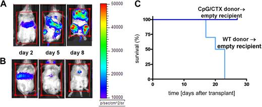 Figure 3. Immunotransplantation protects against systemic tumor burden. Donor mice received (A) no treatment or (B) CpG/CTX vaccination as described. On day 0 (7 days after the completion of the CpG/CTX vaccine), recipient mice received 9 Gy of TBI followed by transplantation of 5 × 106 BM cells and splenocytes from donors. Mice were challenged on day 1 after transplantation with 106 A20-LUC cells intravenously and followed clinically and per their bioluminescence. The same representative mice are shown over time. (C) Cohorts of recipient mice (n = 10) receiving the same treatments and tumor challenge with 106 wild-type A20 cells intravenously were followed for clinical signs of illness and survival.