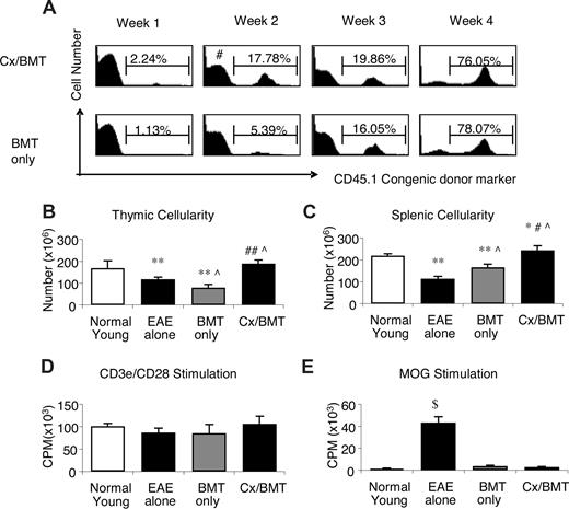 Figure 3. Cx/BMT-treated mice display an increased rate of reconstitution and subsequent increased cellularity, with no alteration in autoreactivity. (A) Peripheral blood of Cx/BMT and BMT-only groups were analyzed by flow cytometry for the donor CD45.1 congenic cell surface marker expression. By week 2 after BMT, Cx/BMT mice demonstrate a significantly higher donor presence than BMT-alone groups and remained higher until week 4 after BMT, when the BMT-only mice achieved similar levels of chimerism. (B) Untreated EAE mice had a significantly reduced cellularity in the thymus, with irradiation conditioning in the BMT-only group inducing even further thymic atrophy. By contrast, castration overcame the degenerative effects of EAE and irradiation. (C) Similar results were seen in the spleen. (D,E) Whereas the general T-cell proliferative capacity did not differ between groups, MOG35-55–specific proliferation of mice treated with either BMT only or BMT in combination with castration was significantly reduced in comparison with untreated groups. Results are expressed as mean plus or minus SEM from 2 or more independent experiments. *P < .05 versus normal young; #P < .05 versus BMT alone; **P < .01 versus normal young; ##P < .01 versus BMT alone; ∧P < .05 versus EAE alone; and $P < .001 versus all groups.