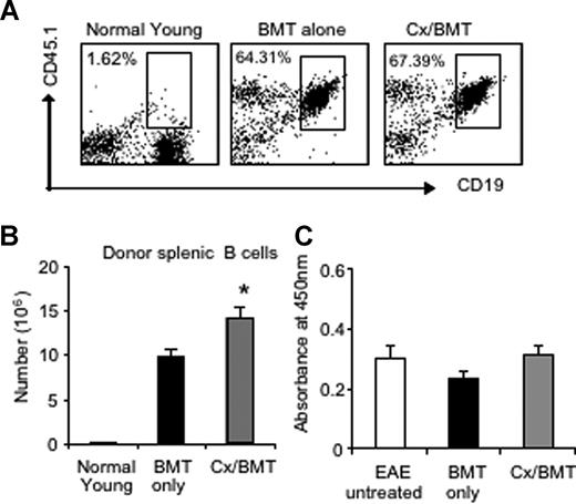 Figure 4. Androgen depletion increases the number of donor B cells but does not alter autoantibody production to MOG35-55. (A,B) Splenic donor B cells were analyzed by flow cytometry for CD19 and CD45.1 marker expression. Results showed that there was no significant difference in proportion between Cx/BMT- and BMT-alone–treated groups. CX/BMT-treated mice displayed significantly higher numbers of donor B cells. (C) This significant increase did not influence antibody production to MOG35-55. Results are expressed as mean plus or minus SEM of 5 to 10 mice from 2 or more independent experiments. *P < .05 versus BMT only.