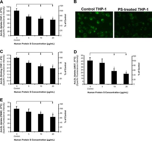 Figure 1. Inhibitory effects of human protein S on AcLDL uptake and binding by human monocyte–derived macrophages. (A,B) AcLDL uptake in THP-1 macrophages. The cells were treated with protein S for 24 hours, followed by incubation with 5 μg/mL Alexa Fluor 488–AcLDL in the presence or absence of 250 μg/mL AcLDL for 3 hours at 37°C. The fluorescence intensity of cells was measured with a fluorescence microplate reader and photographed with a fluorescent microscope (Olympus IX51 with SPOT camera; total magnification ×200). (C) AcLDL binding to THP-1 macrophages. The cells were treated with protein S for 24 hours, followed by incubation with 5 μg/mL Alexa Fluor 488–AcLDL in the presence or absence of 250 μg/mL AcLDL for 30 minutes at 4°C. (D) AcLDL uptake in U937 macrophages. The cells were treated with protein S for 24 hours, followed by incubation with 5 μg/mL Alexa Fluor 488–AcLDL in the presence or absence of 250 μg/mL AcLDL for 3 hours at 37°C. (E) AcLDL uptake in human PBMC–derived macrophages. The cells were treated with protein S for 24 hours, followed by incubation with 5 μg/mL Alexa Fluor 488–AcLDL in the presence or absence of 250 μg/mL AcLDL for 3 hours at 37°C. Columns and bars denote the mean and SD of 3 experiments. *P < .05 versus untreated controls.