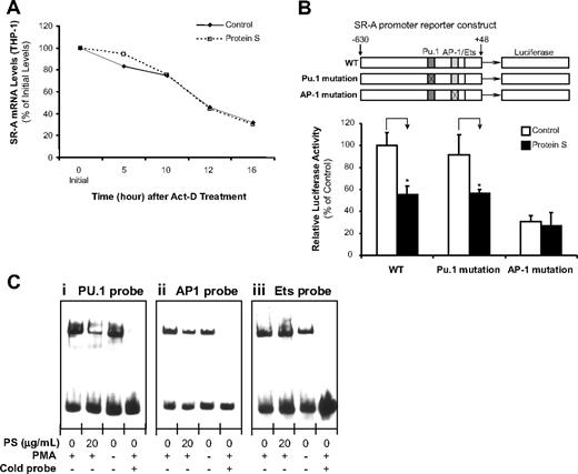 Figure 5. Effect of human protein S on the regulation of SR-A expression. (A) SR-A mRNA stability. THP-1 macrophages were treated with 5 μg/mL actinomycin D (Act-D) in the presence or absence of 20 μg/mL protein S for 16 hours. Total RNA was harvested at the indicated times and analyzed by real-time PCR using SR-A and 18S rRNA primers. Data are shown as the percentage of mRNA remaining in respect to cells before the addition of Act-D. Representative results from 3 experiments are shown. (B) SR-A promoter activity. THP-1 cells were transiently cotransfected by electroporation with SR-A gene promoter constructs (WT, PU.1 mutation, and AP-1 mutation) and pRL-SV40 plasmids as an internal control. After the transfection, the cells were treated with PMA (50 ng/mL) for 24 hours, followed by protein S (20 μg/mL) treatment for 24 hours. Dual-luciferase assay was performed. Columns and vertical bars denote the mean plus or minus SD of 3 experiments. *P < .05 versus untreated controls. (C) PU.1-, AP-1–, and Ets-binding activities. Nuclear extracts were prepared. Electrophoretic mobility shift assay (EMSA) was performed using biotin end-labeled double-stranded oligonucleotides including PU.1, AP-1, and Ets consensus sequences in the SR-A promoter. The transcription factor–probe mixtures were separated by electrophoresis and transferred to a nylon membrane. The signal was detected with an EMSA kit (Panomics). Representative results were from 3 experiments. (i) PU.1 probe. (ii) AP-1 probe. (iii) Ets probe.