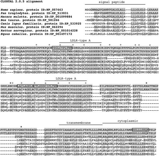 Figure 2. Amino acid sequence of TCblR and homology with TCblR from other mammalian species analyzed using the CLUSTAL 2.0.5 alignment. The structural features of the proteins with conserved domains along with the cysteine repeats (+) and potential N-glycosylation (*) sites are identified. The boxed regions correspond to the 4 peptides identified by LC-MS.