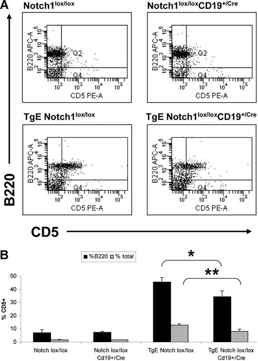 Figure 3. The signal strength of LMP2A is decreased in the bone marrow of TgE Notch1lox/loxCD19+/Cre mice. Total cells isolated from the bone marrow of each indicated genotype were stained with B220 and CD5 fluorochrome-conjugated antibodies and analyzed by flow cytometry. Live cell populations, designated by forward and side scatter properties, were gated to examine CD5 expression and a representative plot is shown for each genotype (A). (B) The average results from 4 independent experiments are shown plus or minus SE. Populations are represented as the percentage of total bone marrow that is CD5 positive (percentage of total) as well as the percentage of B cells that are CD5 positive (%B220). *P = .03, **P = .02 by t test. Notch1lox/lox, n = 5 mice; Notch1lox/lox CD19+/Cre, n = 5; TgE Notch1lox/lox, n = 7; TgE Notch1lox/lox CD19+/Cre, n = 9.