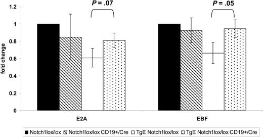 Figure 7. Notch1 expression is required for LMP2A to alter mRNA levels of B cell–specific transcription factors in TgE mice. Real-time RT-PCR gene expression analysis was performed using total RNA isolated from B220+ bone marrow B cells harvested from methylcellulose cultures of each genotype. Primers specific for E2A and EBF were used along with GAPDH as a control for RNA levels. Fold change in gene expression was calculated using the ΔΔCt method, and fold change is shown relative to wild-type (Notch1lox/lox) mice. Results are the average of at least 3 independent experiments plus or minus SE. Notch1lox/lox, n = 6 mice; Notch1lox/lox CD19+/Cre, n = 4; TgE Notch1lox/lox, n = 3; TgE Notch1lox/lox CD19+/Cre, n = 6.
