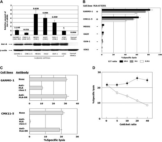 Figure 2. Expression of Aur-A in leukemia cell lines and the cytotoxicity of AUR-1 against leukemia cell lines. (A) Expression of Aur-A mRNA and protein in leukemia cell lines and normal PBMCs. Expression levels of Aur-A mRNA in the cells were determined by QRT-PCR as detailed in “Methods.” The level of Aur-A mRNA expression in the K562 leukemia cell line, which strongly expresses Aur-A, is shown as 1.0 and the expression levels in the cells were calculated relative to this value. Aur-A protein expression was examined by Western blotting using anti–Aur-A antibody and anti–β-actin antibody as the control. (B) Cytotoxicity of the Aur-A207-215–specific CTL line AUR-1 against leukemia cell lines. The cytotoxicity of AUR-1 to HLA-A*0201–positive and HLA-A*0201–negative leukemia cell lines was determined by 4-hour 51Cr-release assays at E/T ratios of 10:1, 5:1, and 2.5:1. (C) HLA class I restriction of cytotoxicity mediated by AUR-1 against leukemia cells. The cytotoxicity of AUR-1 against leukemia cell lines (GANMO-1 and CMK11-5) was determined by 4-hour 51Cr-release assays at an E/T ratio of 2.5:1 in the presence or absence of anti–HLA class I MoAb or anti–HLA-DR MoAb. (D) Cold target inhibition assays. 51Cr-labeled GANMO-1 cells (5 × 103 cells) were mixed with various numbers of 51Cr-unlabeled Aur-A207-215 peptide–loaded autologous LCL cells (○) or with 51Cr-unlabeled Aur-A207-215 peptide–loaded HLA-A*0201–negative allogeneic LCL cells (●). The cytotoxicity of AUR-1 to the mixture of 51Cr-labeled and unlabeled target cells was determined by 4-hour 51Cr-release assays at an effector-to-51Cr-labeled target cell ratio of 10:1.