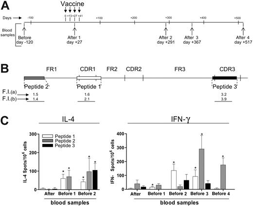 Figure 5. Circulating peptide-specific T cells directed to tumor-specific IgH-encoded epitopes in a vaccinated patient. (A) PB samples were obtained from patient no. 14 at the indicated time points before (pre) and after (post) vaccination. (B) Synthetic peptides (indicated as peptides nos. 1, 2, and 3) corresponding to CDR1, FR1, and CDR3 sequences of the tumor-specific IgH sequence from patient no. 14 were used to assess cytokine release by circulating T cells by ELISPOT. Fluorescence index (FI) as evaluated by the HLA-A2 stabilization assay after staining of T2 cells with mAb CR11.351 (a) or BB7.2 (b). (C) Frequencies of IL-4– or IFN-γ–producing T cells against peptides nos. 1, 2, and 3, as evaluated by ELISPOT in blood samples taken before and after vaccination from patient no. 14. The HLA-A*0201–binding HIV peptide ILKEPVHGV was used as negative control in both the IL-4 and IFN-γ assays. Response to this peptide was fewer than 10 spots/106 cells in all blood samples analyzed. * indicates frequency of cytokine-releasing T cells, in the indicated blood samples, was significantly higher compared with prevaccination values (Mann-Whitney test, P < .05). Error bars indicate standard deviation of the mean.