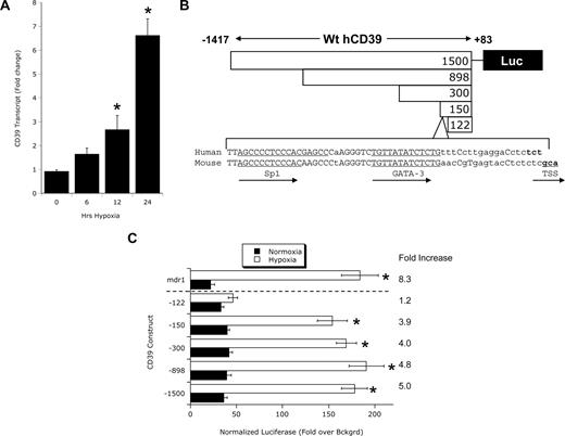 Figure 1. CD39 is induced by hypoxia. (A) Vascular endothelia (HMEC-1) were exposed to hypoxia (2% oxygen) over indicated time periods, and CD39 transcript levels were determined by real-time RT-PCR. β-actin was used to control for starting template (n = 3, *P < .05). CD39 luciferase reporter assays. (B) Orientation of the human CD39 promoter, the location of Sp1 and GATA-3–binding sites in the human and mouse CD39 promoter, the location of the TSS, and the location of truncations used for transient transfections (see “CD39 promoter assays” for additional details). (C) Confluent HMEC-1 monolayers were transiently transfected with plasmids expressing sequence corresponding to full-length CD39 (−1417 to +83 bp) or the following 5′ truncations: CD39-898 (−815 to +83 bp), CD39-300 (−217 to +83 bp), CD39-150 (−67 to +83 bp), and CD39-122 (−39 to +83 bp) upstream from the luc reporter gene. Also shown is full-length mdr-1 promoter as a positive control. Twelve hours later, cells were exposed to hypoxia or normoxia for 48 hours and assessed for luciferase activity. All transfections were normalized to cotransfected Renilla promoter. Data are mean plus or minus SEM from 3 separate experiments.