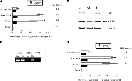 Figure 2. Role of Sp1 in CD39 hypoxia inducibility. (A) Confluent HMEC-1 monolayers were transiently transfected with plasmids expressing sequence corresponding to truncations at the 5′ end (CD39-300, −217 to +83 bp) or plasmids encoding Sp1 or GATA3 mutations, as indicated. Twelve hours later, cells were exposed to hypoxia or normoxia for 48 hours and assessed for luciferase activity. All transfections were normalized to cotransfected Renilla plasmid. Data are mean plus or minus SEM from 3 separate experiments (*P < .025 compared with the corresponding nonmutated control). (B) ChIP assay was used to examine Sp1 binding to the CD39 promoter in normoxic and hypoxic HMEC-1 cells. Reaction controls included immunoprecipitations using a nonspecific IgG monoclonal antibody and PCR performed using HMEC-1 DNA (Input). A representative experiment of 3 is shown. (C) Confluent HMEC-1 monolayers were exposed to mock treatment (C), Sp1 sense oligonucleotides (S), or Sp1 antisense (AS) oligonucleotides for 48 hours. Total protein was solubilized, and Sp1 expression was examined by Western blot. As additional control, the transcription factor cAMP-response element-binding protein was probed. (D) Confluent HMEC-1 monolayers were transiently transfected with plasmids expressing sequence corresponding to truncations at the 5′ end (CD39-300, −217 to +83 bp) in the presence or absence of SP1 sense or antisense oligonucleotides. Twelve hours later, cells were exposed to hypoxia for 48 hours and assessed for luciferase activity. Data are mean plus or minus SEM from 3 separate experiments (*P < .01).