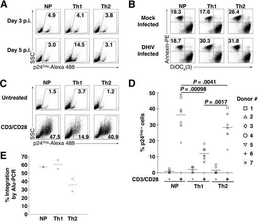 Figure 2. Generation of latently HIV-1–infected primary CD4+ T cells ex vivo. Cells were primed in NP, Th1-, or Th2-polarizing conditions and 7 days after activation cells were infected with DHIV. (A) At 3 and 5 days after infection, cells were assessed for intracellular p24 gag expression by flow cytometry. The percentage of p24-postive cells is indicated in each panel. The experiment shown is representative of 4 different experiments with 4 different donors. (B) At 5 days after infection, cells were assessed for annexin-PE and DiOC6(3) by flow cytometry. For each panel, the percentage of apoptotic cells (annexin-PE positive and DiOC6(3) low) is indicated. The experiment shown is representative of 3 different experiments with 3 different donors. (C) At 7 days after infection, cells were cultured without stimulation (untreated) or costimulated with antibodies to CD3 and CD28 for 3 days (CD3/CD28) and assessed for intracellular p24 gag expression by flow cytometry. The percentage of p24-postive cells is indicated in each panel for this representative experiment. Values corresponding to 7 different donors are shown in panel D, where each symbol represents a different donor and horizontal lines indicate media values. Significance by 2-tailed paired-samples t test analysis (P values provided). (E) Viral integration was analyzed by Alu-PCR 3 days after infection in donors 1 and 2. Horizontal lines indicate media values.