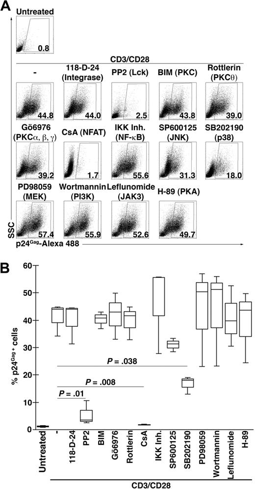 Figure 3. Signaling antagonists and their effects on HIV-1 reactivation. NP cells were infected with DHIV and 7 days after infection cells were left untreated or costimulated with antibodies to CD3 and CD28 for 3 days (CD3/CD28) in the presence of the indicated inhibitor for the protein or pathway indicated between parentheses and assessed for intracellular p24 gag expression by flow cytometry. (A) Representative experiment. The percentage of p24-postive cells is indicated in each panel. (B) Box-plots corresponding to 3 different donors. Horizontal lines indicate median values and significance by 2-tailed paired-samples t test analysis (P values provided).