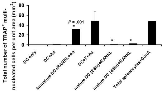 Figure 1. Immature but not mature CD11c+ DCs carry the osteoclastogenic potential. Freshly purified CD11c+ DCs (immature) or bacteria Aggregatibactor actinomycetemcomitans (Aa)–treated DCs for 24 or 48 hours (mature) were cultured with 30 to 100 ng/mL soluble receptor activator nb NFKB ligand (sRANKL) in the presence of 10 μg/mL Aa sonicated Ag (see Alnaeeli4). On day 5, the total number of TRAP+ multinucleated DC-derived OCs developed per unit area were quantified, using the protocol reported previously4 where the results are shown as mean plus or minus SE with *P = .001 (N = 5 experiments), and DC-only and DC + Aa as negative controls and Splenocytes + ConA as positive control.