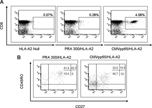 Figure 5. Phenotypic characterization of tetramer-positive CD3+CD8+ T cells. CMVpp65495/HLA-A*0201 CD8+ T cells were used as a positive control and HLA-A2 null as negative control. (A) Peptide/HLA-A2 tetramer analysis of PBMCs was performed by 6-color flow cytometry in 2 patients. (B) CD45RO and CD27 phenotype of CD3+ CD8+ T-cell gated tetramer-positive lymphocytes on samples from patient 25.