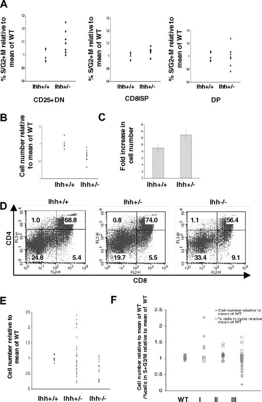 Figure 4. Ihh regulates thymus homeostasis. (A) Scatter plots show the percentage of cells in S + G2/M, measured by PI staining of FACS-sorted E16.5 CD25+ DN (left plot), CD8ISP (middle plot), and DP (right plot) populations from WT and Ihh+/− littermates, relative to the mean percentage in WT littermate populations. Differences in mean percentage between +/− and WT were statistically significant for CD25+ DN (P = .042) and CD8ISP (P = .040) populations, but not for DP cells (P = .981). (B) Scatter plots show relative thymocyte number from Ihh+/+Rag1−/− and Ihh+/−Rag1−/− thymi (relative to mean of Ihh+/+Rag1−/− littermates). Differences are significant by Student t test (P < .001). Mean thymocyte number: litter 1 Ihh+/+Rag1−/− 1.65 × 106, Ihh+/−Rag1−/− 1.33 × 106; litter 2 Ihh+/+Rag1−/− 1.7 × 106, Ihh+/−Rag1−/− 1.25 × 106; litter 3 Ihh+/+Rag1−/− 1.75 × 106, Ihh+/−Rag1−/− 1.31 × 106. (C) Bar chart shows fold increase in thymocyte number on induction of differentiation by treatment with 1 μg/mL anti-CD3 after 5 days of FTOCs for Rag1−/−Ihh+/+ and Rag1−/− Ihh+/− littermates. For each thymus, one lobe was cultured with anti-CD3 and the fold increase in cell number was calculated relative to the number of cells in the other untreated lobe. The fold increase in the Rag1−/−Ihh+/− was significantly different from that in the Rag1−/−Ihh+/+ by Student t test (P = .03). Mean thymocyte number: litter 1 Ihh+/+Rag1−/− untreated 1.65 × 106, Ihh+/+Rag1−/− + anti-CD3 1.425 × 107, Ihh+/−Rag1−/− untreated 1.33 × 106, Ihh+/−Rag1−/− + anti-CD3 1.725 × 107. Litter 2 Ihh+/+Rag1−/− untreated 1.7 × 106, Ihh+/+Rag1−/− + anti-CD3 1.49 × 107, Ihh+/−Rag1−/− untreated 1.245 × 106, Ihh+/+Rag1−/− + anti-CD3 1.689 × 107. (D) Dot plots show E17.5 WT, Ihh+/−, and Ihh−/− thymi stained with anti-CD4 and anti-CD8. Mean thymocyte number: litter 1 WT 2.05 × 106, Ihh+/− 3.3 × 106, Ihh−/− 2 × 106; litter 2 WT 3.5 × 106, Ihh+/− 2.865 × 106, Ihh−/− 8.5 × 105; litter 3 WT 3.35 × 106, Ihh+/− 2.63 × 106 Ihh−/− 1.675 × 106; litter 4 WT 3.35 × 106, Ihh+/− 2.336 × 106; litter 5 WT 3.868 × 106, Ihh+/− 3.69 × 106; litter 6 WT 4.8 × 106, Ihh+/− 4.756, Ihh−/− 3.8 × 106. (E) Scatter plot shows cell numbers (relative to mean of WT) from thymi from E17.5 WT, Ihh+/−, and Ihh−/− embryos. The difference in mean between WT and Ihh−/− is significant (P = .002, Student t test), and the difference in SD between WT and Ihh+/− is also significant (P < .001, F test). (F) Scatter plot shows : thymocyte number (relative to mean of WT) from E17.5 WT littermate and Ihh+/− embryos. Ihh+/− thymi are grouped by relative size into 3 sets: I, more than 1.3; II, 0.9 to 1.1; and III, less than 0.9; ○: the percentage of cells in S + G2/M (relative to mean of WT), measured by PI staining of FACS-sorted E17.5 CD25+ from WT and Ihh+/− mice grouped into 3 groups I, II, and III as detailed in this figure legend.