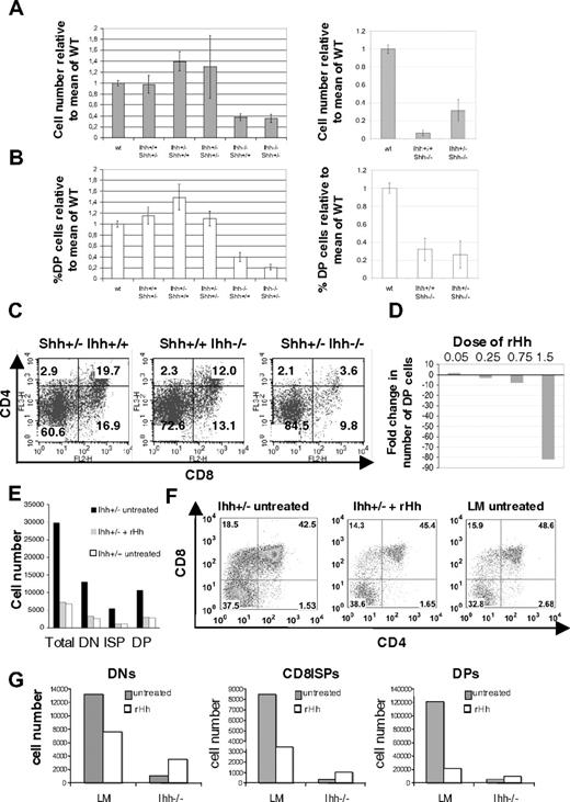 Figure 5. Thymocyte development in Shh/Ihh double mutants and in FTOCs treated with exogenous recombinant Hedgehog protein. (A) Histograms show the mean relative cell number (± SE) in WT (n = 11), Ihh+/+Shh+/− (n = 5), Ihh+/−Shh+/+ (n = 8), Ihh+/− Shh+/− (n = 3), Ihh−/−Shh+/+ (n = 4), Ihh−/−Shh+/− (n = 3) (left), and in WT (n = 11), Ihh+/+Shh−/− (n = 3), and Ihh+/−Shh−/− (n = 3) thymi (right) on E16.5. (B) Histogram to show the mean relative percentage ( ± SE) of DP cells in the litters shown in panel A. (C) Expression of CD4 and CD8 on Shh+/− Ihh+/+, Shh+/+ Ihh−/−, and Shh+/− Ihh−/− thymi. Thymus sizes were: Shh+/− Ihh+/+: 2.6 × 105; Shh+/+ Ihh−/−: 1.28 × 105; and Shh+/− Ihh−/−: 5.2 × 104. (D) Bar chart shows the fold change in number of DP thymocytes recovered from WT E15 FTOCs treated for 3 days with different concentrations of r-mShh-N (R&D Systems), compared with the number of DP cells recovered from the untreated thymus lobe from the same embryos; 0.25 μg/mL r-mShh-N decreased the production of DP cells by approximately 2-fold. (E) Bar chart shows the number of cells from DN, CD8+ ISP, and DP thymocyte populations recovered from Ihh+/− and WT littermate E15 FTOCs cultured for 3 days, with or without treatment with 0.25 mg/mL r-mShh-N. Mean cell recovery per thymus lobe: Ihh+/− control 3.3 × 105; Ihh+/− + r-mShh-N 6.3 × 104; Ihh+/+ littermate control 7.0 × 104. In each experiment, the treated thymus lobe was compared with the untreated lobe from the same embryo. (F) Dot plots show anti-CD4 and anti-CD8 staining of individual thymus lobes from the experiment in panel E, in which treated thymus lobes were compared with the untreated lobe form the same embryo, or to a WT littermate lobe. (G) Bar charts show the number of cells from DN, CD8+ ISP, and DP thymocyte populations recovered from Ihh−/− and littermate (LM) E15 FTOC cultured for 5 days, with or without treatment with 0.25 μg/mL r-mShh-N. The treated lobe from one embryo was compared with the untreated lobe from the same embryo.