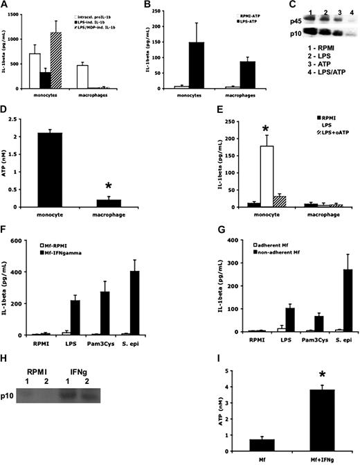 Figure 6. ATP induces IL-1β secretion in both monocytes and macrophages. (A) Human monocytes and macrophages were incubated with RPMI, LPS (1 μg/mL), or a combination of LPS and MDP (10 μg/mL) for 24 hours. Intracellular pro-IL-1β or secreted mature IL-1β were measured by specific ELISA kits (n = 6, mean ± SEM). (B) Monocytes or macrophages were incubated with RPMI or LPS for 4 hours, followed by ATP (1 mM) for 15 minutes (RPMI/ATP or LPS/ATP). Mean levels of mature IL-1β secreted in the supernatant were measured by ELISA (n = 6, mean ± SEM). (C) Western blots of caspase-1 in lysates after stimulation of monocytes with RPMI, LPS (1 μg/mL), ATP (1 mM), or a combination of LPS and ATP. (D) Monocytes and macrophages were incubated with RPMI or LPS (1 μg/mL) for 4 hours, and ATP was measured in the supernatant using a luciferase assay (n = 6, mean ± SEM, *P < .05 compared with monocytes). (E) Human monocytes and macrophages were incubated with RPMI or LPS (1 μg/mL) for 4 hours, and P2X7 receptors were blocked by adding oxidized ATP (oATP, 300 μM). Concentrations of mature IL-1β were measured in the supernatants by ELISA (n = 6, mean ± SEM, *P < .05 compared with RPMI). (F) Macrophages (Mf) differentiated in the presence of 10 ng/mL IFN-γ were stimulated for 24 hours with LPS (1 μg/mL), MDP (10 μg/mL), or heat-killed S epidermidis (106 organisms/mL). IL-1β in the supernatant was measured by ELISA (n = 6, mean ± SEM). (G) Macrophages differentiated for 5 days in RPMI with 10% plasma while in rotating (4 rpm) in 50-mL polypropylene tubes were stimulated for 24 hours with LPS, MDP, or heat-killed S epidermidis. IL-1β in the supernatant was measured by ELISA (n = 6, mean ± SEM). (H) Western blot of the active caspase-1 p10 fragment in macrophages differentiated in the absence (RPMI) or presence (IFN-γ) of IFN-γ. Data from 2 volunteers (1 and 2) are presented. (I) ATP release from macrophages differentiated in the absence or presence of IFN-γ (n = 5, mean ± SEM, *P < .05 compared with macrophages without IFN-γ).