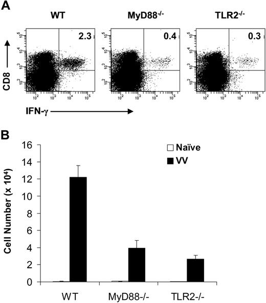 Figure 1. Endogenous MyD88−/− and TLR2−/− CD8 T cells exhibit defective virus-specific effector response to VV infection in vivo. A total of 106 purified WT, MyD88−/−, or TLR2−/− polyclonal CD8 T cells were transferred along with 2 × 106 WT polyclonal CD4 T cells into RAG-2−/− hosts. Seven days after transfer, mice were infected intraperitoneally with 5 × 106 pfu VV or left uninfected (naive) as control. Seven days after infection, splenocytes were stained with anti-CD4 and anti-CD8 antibodies and subjected to intracellular staining with an anti–IFN-γ antibody after a 6-hours stimulation with the VV-specific peptide F2L (26SPYAAGYDL34). (A) The percentage of IFN-γ+ CD8+ T cells among total splenocytes for each respective population is indicated. (B) The absolute cell number per spleen of IFN-γ+CD8+ T cells for both naive and infected groups are shown with SDs indicated (n = 6 per group). For all groups: naive versus VV, P < .001. For VV-infected hosts: MyD88−/− or TLR2−/− versus WT, P < .001. Data shown are representative of 3 independent experiments.