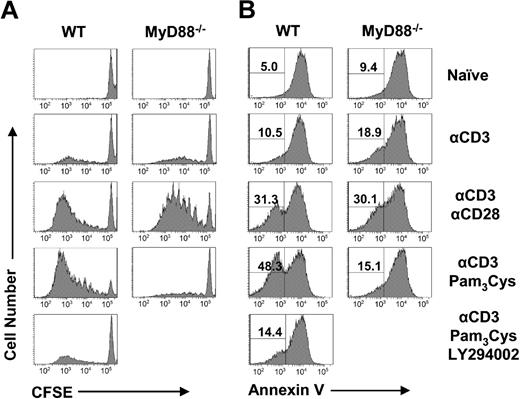 Figure 5. Intrinsic TLR2-MyD88 signaling increases cellular proliferation and survival after in vitro stimulation and is dependent on the PI3K pathway. (A,B) Polyclonal CFSE-labeled WT or MyD88−/− CD8 T cells were stimulated in vitro with plate-bound anti-CD3 antibody alone (αCD3) or anti-CD3 antibody coupled with plate-bound anti-CD28 (αCD3 αCD28), Pam3Cys (αCD3 Pam3Cys), Pam3Cys and the PI3K inhibitor LY294002 (αCD3 Pam3Cys LY294002), or left unstimulated (naive) as a control. After 18 hours of stimulation, T cells were removed from stimulation and placed back into culture in the absence of further stimulation for a total of 4 days. At this time, both the CFSE profile (A) as well as the survival of CD8+ cells by annexin V staining (B) were determined by flow cytometry. Percentage of annexin V− cells among total CD8+ T cells is indicated. Representative data from 4 independent experiments are shown.