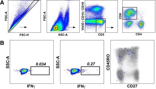 Figure 2. Functional verification of pHLA A*0201 tetramer staining for PR1-specific CD8+ T cells. BMMCs from patient 12 (Table 1) were stimulated with PR1 peptide at 10 μg/mL and stained with a panel of mAbs to assess cell surface phenotype and intracellular cytokine production as described in the Methods. (A) Gating strategy used to identify PR1-specific CD8+ T cells. The FSC-A versus FSC-H profile was used to exclude cell aggregates and large cells from the analysis; lymphocytes were then identified on the basis of light scatter characteristics. Live T cells were subsequently discriminated from dead cells, monocytes and B cells in a CD3 versus ViViD/CD14/CD19 bivariate plot before gating on CD8+ T cells. (B) Function and phenotype of PR1-specific CD8+ T cells. Background staining levels were assessed in control experiments processed identically in the absence of PR1 peptide (left panel). In the presence of PR1 peptide, 0.27% of memory CD8+ T cells expressed IFNγ (middle panel); no other cytokines were detected in this experiment (see “Methods”). Antigen-specific CD8+ T cells that produced IFNγ in response to PR1 peptide, depicted as colored dots superimposed on a cloud plot representing the phenotypic distribution of the total CD8+ T-cell population, displayed a heterogeneous memory phenotype (right panel) consistent with similar analyses conducted in conjunction with cognate pHLA A*0201 tetramer staining (Figure 4).