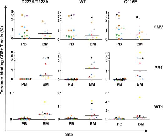 Figure 3. Leukemia-associated antigen-specific CD8+ T cells preferentially localize to the bone marrow in patients with myeloid malignancies. Cognate D227K/T228A, WT and Q115E pHLA A*0201 tetramers were used to quantify CD8+ T-cell populations specific for CMV pp65495-503, WT1126-134 and PR1 in the peripheral blood (PB) and bone marrow (BM). Graphs depict the frequency of antigen-specific CD8+ T cells within each compartment that bind to each pHLA A*0201 tetrameric form. Post-HSCT samples are shown as triangles and pre-HSCT samples are shown as circles; horizontal bars represent median values. Data are color-coded to match the key shown in Table 1. All pre-HSCT samples were drawn from time points before the conditioning regimen; post-HSCT samples were drawn at a median of 7.5 months (range, 2 to 28 months) from the date of transplant. Multiple time points were assessed in some patients, indicated by identical symbols. In some cases, not all cognate tetrameric forms were used due to limited cell availability. The differences between PB and BM were significant for PR1-specific CD8+ T-cell populations quantified with all 3 cognate tetramers (P = .003 with WT and Q115E, P < .001 with D227K/T228A; Mann-Whitney); there were no significant differences between compartments with respect to CMV-specific CD8+ T-cell populations.