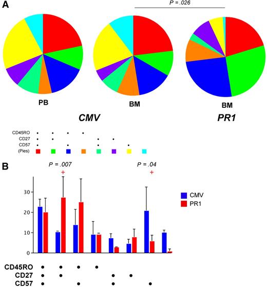 Figure 4. Phenotypic characteristics of CD8+ T-cell populations specific for CMV pp65495-503 and PR1 in peripheral blood and bone marrow. Cognate WT pHLA A*0201 tetramers were used to identify antigen-specific CD8+ T-cell populations in a polychromatic flow cytometric panel that included mAbs to determine the expression of surface markers commonly used to distinguish naive and memory T cells. (A) Pie charts depict the proportions of CMV-specific and PR1-specific CD8+ T cells that expressed various combinations of CD27, CD45RO, and CD57, as indicated by the adjoining key. The phenotypic composition of CMV-specific CD8+ T cells was not significantly different between the peripheral blood (PB) and bone marrow (BM) compartments; however, within the bone marrow, the phenotypic composition of CMV-specific and PR1-specific CD8+ T-cell populations was significantly different. (B) Bar graphs show the proportions of CMV-specific and PR1-specific CD8+ T cells that expressed each combination of CD27, CD45RO, and CD57 in the bone marrow. Compared with CMV-specific CD8+ T cells, PR1-specific CD8+ T-cell populations were significantly enriched for CD27+CD45RO+CD57− (central memory–like) cells and depleted of CD27−CD45RO−CD57+ (terminally differentiated) cells.