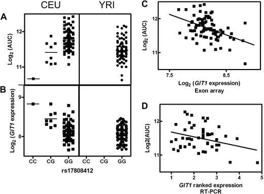 Figure 3. SNP rs17808412 and GIT1. In the CEU population, rs17808412 demonstrated a significant association between SNP genotype and both (A) ara-C AUC (P = 1 × 10−5) and (B) the level of expression of GIT1 (P = 1 × 10−6). (A,B) In the YRI population, this SNP is not variable, with all cell lines having the (GG) genotype. (C) Expression of GIT1 and AUC was significantly correlated in the CEU population (r2 = 0.200, P = 7 × 10−5). (D) This correlation was validated in an independent set of CEU cell lines.