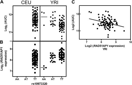 Figure 4. rs10973320 and RAD51AP1. rs10973320 demonstrated genetic variability in the YRI population as well as an association between genotype and both (A) AUC (P = 2 × 10−5) and (B) expression of RAD51AP1 (P = 4 × 10−8). (A,B) This SNP is not variable in the CEU population. (C) Expression of RAD51AP1 and AUC were significantly correlated in the YRI population.
